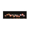 Capsules
