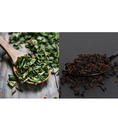 Thé vert vs thé noir : lequel choisir, quelles différences ? Thé vert vs thé noir : lequel choisir, quelles différences ?